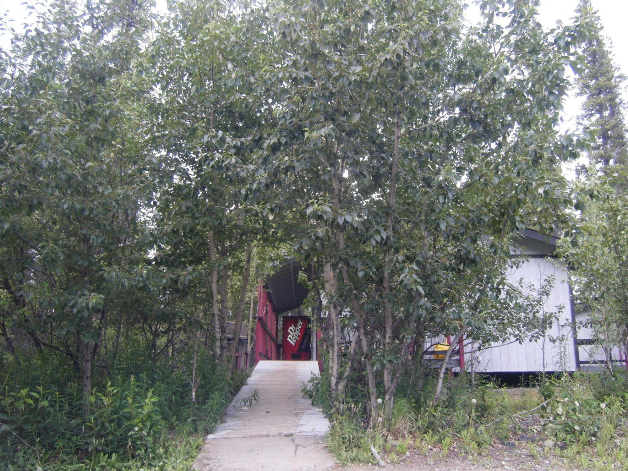The Perch Resort Denali Park المظهر الخارجي الصورة