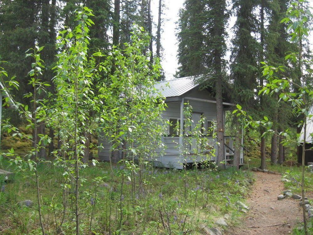 The Perch Resort Denali Park المظهر الخارجي الصورة
