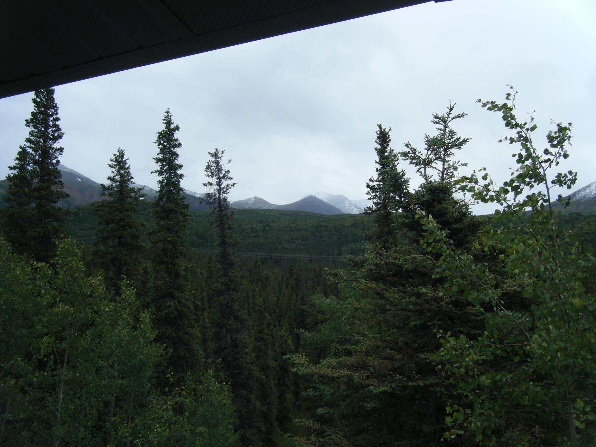 The Perch Resort Denali Park المظهر الخارجي الصورة